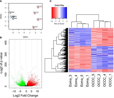 Transcriptomic analyses of ovarian clear-cell carcinoma with concurrent endometriosis